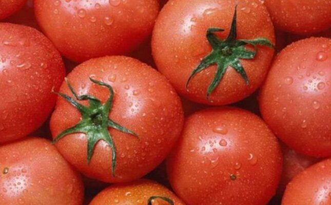Cà chua là loại quả giàu dưỡng chất nhưng cũng cần lưu ý khi sử dụng